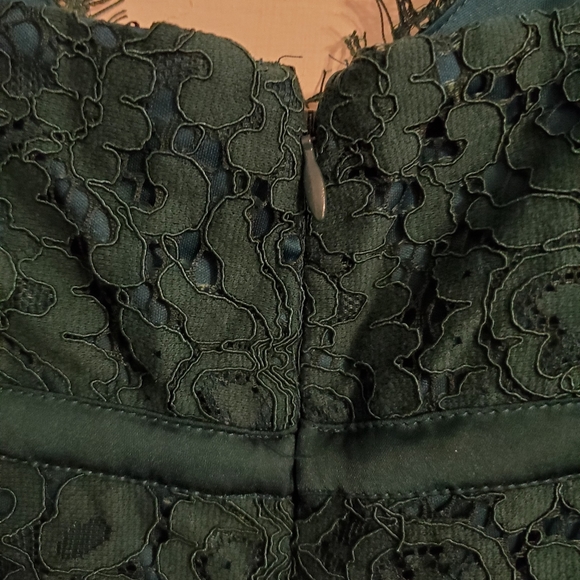 Express Piped Lace Sheath Dress Emerald Green - Picture 9 of 10